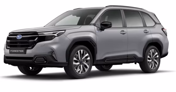 FORESTER